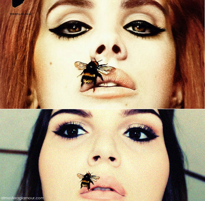 Maquiagem Lana Del Rey